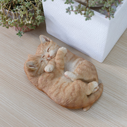抱き合うカップル茶トラ猫