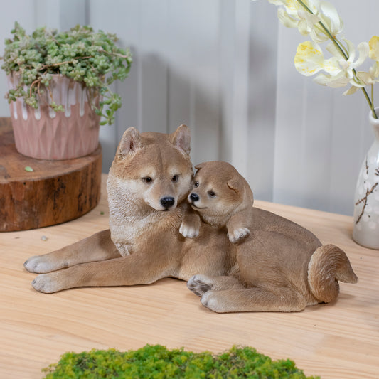親子の柴犬