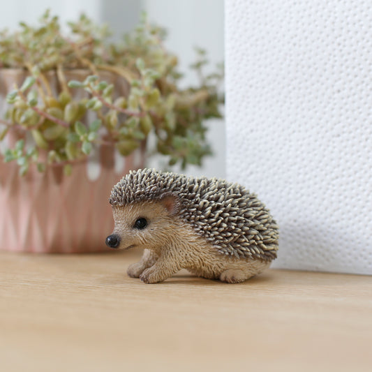 右向くハリネズミ