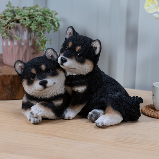 仲良し子黒柴