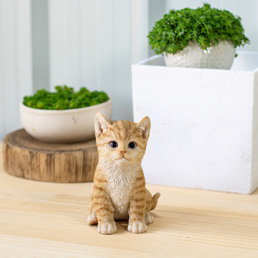 エジプト座り茶トラ子猫