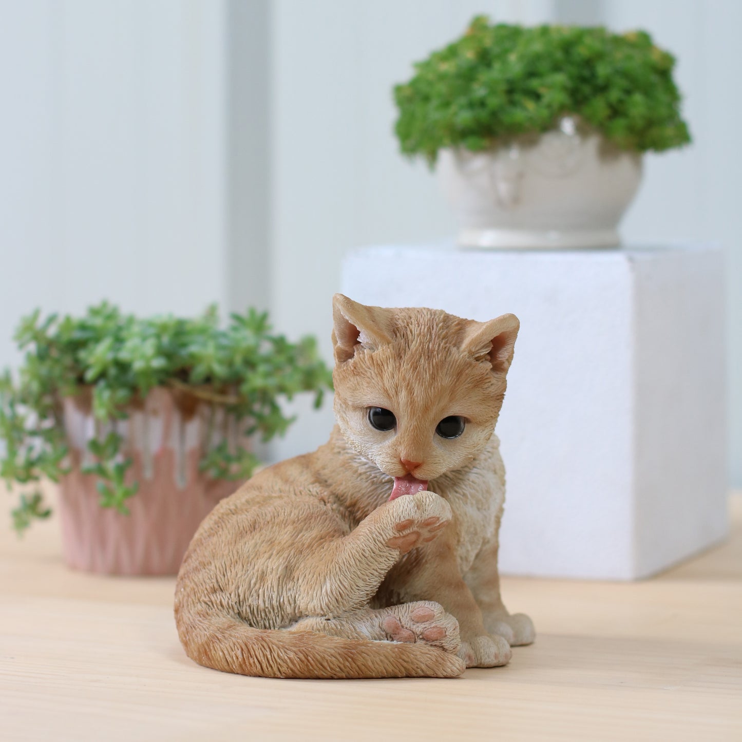 後ろ足をなめる茶トラ猫