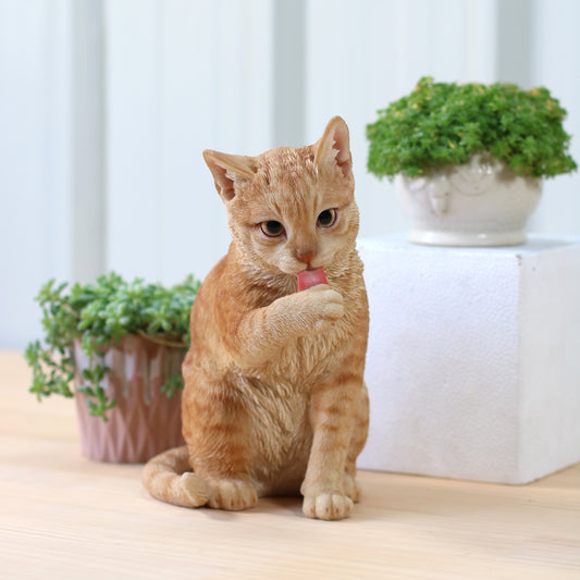 足をなめるダークビスケットとら猫
