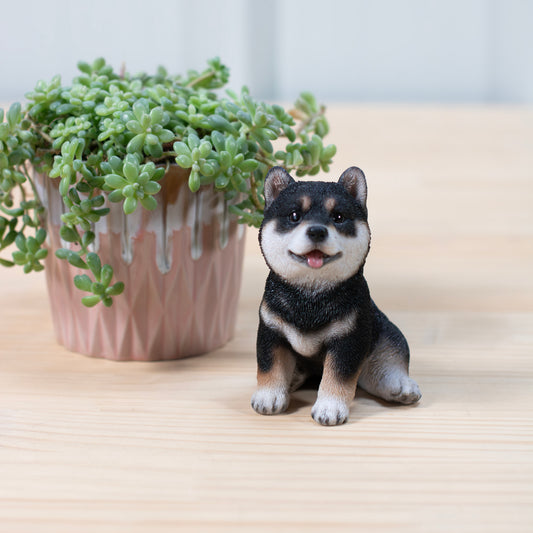 左向き座り子黒柴犬