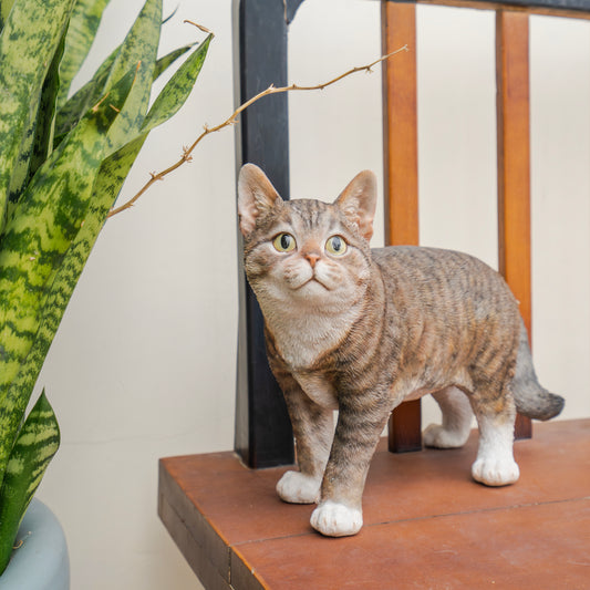 歩くサバトラ猫(大)
