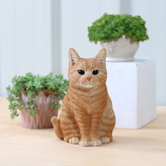 お座りブリティッシュショートヘア茶トラ（小）