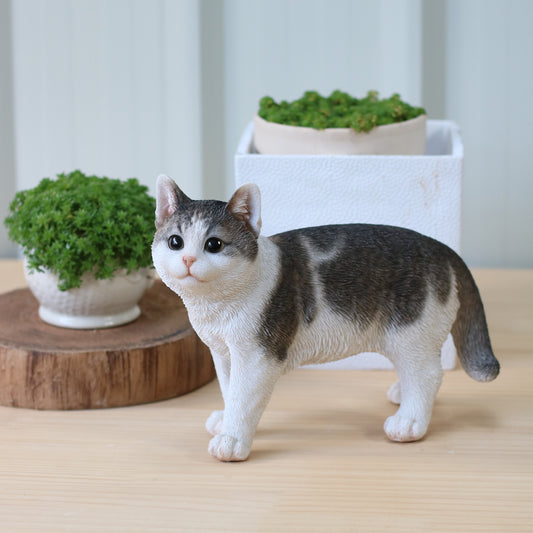 歩くサバトラ白猫（小）