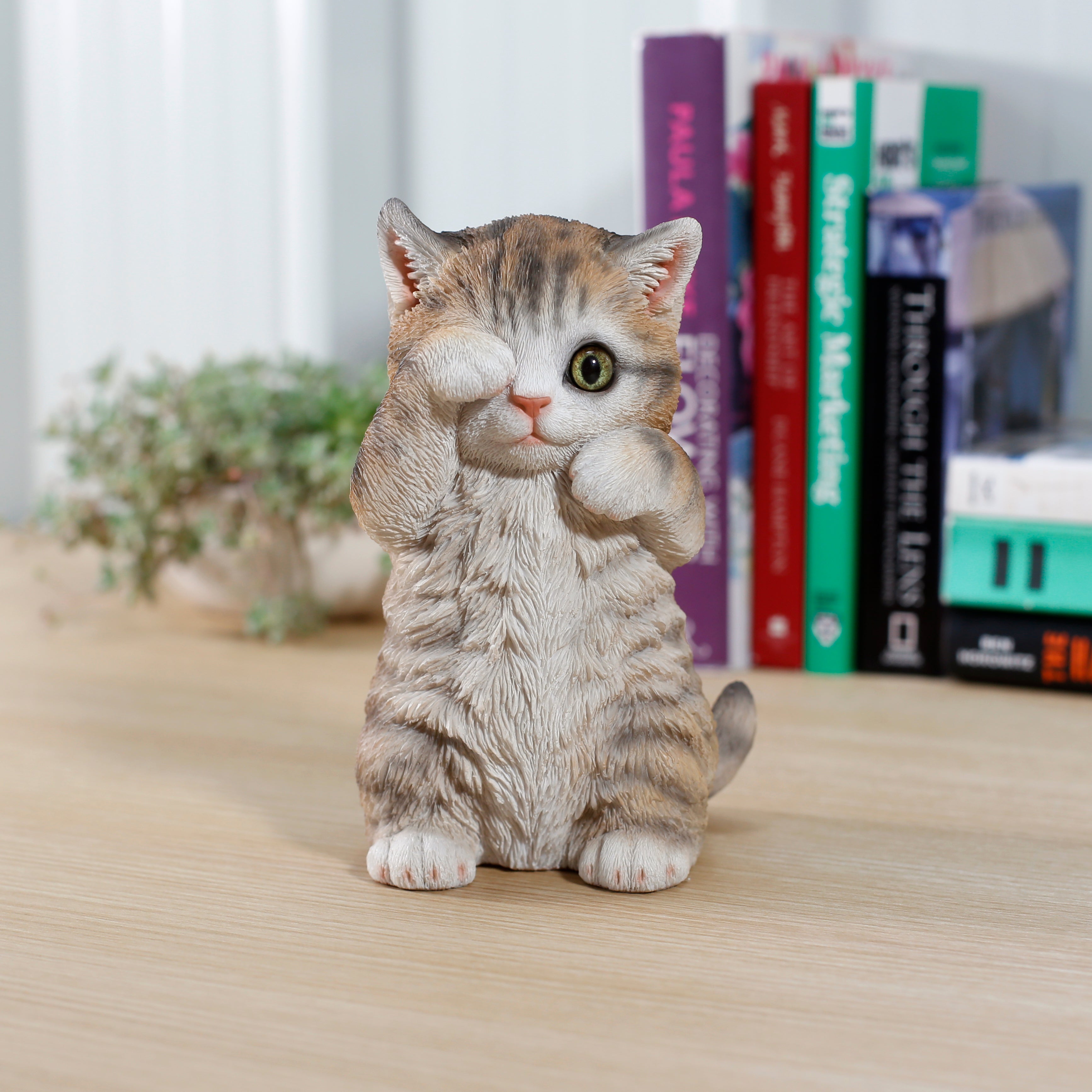 ドラ猫出品 片目を覆うトラ猫｜WooBia公式オンラインショップ – WooBia（ウービア