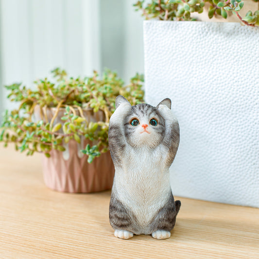 聞かざるサバトラ白猫
