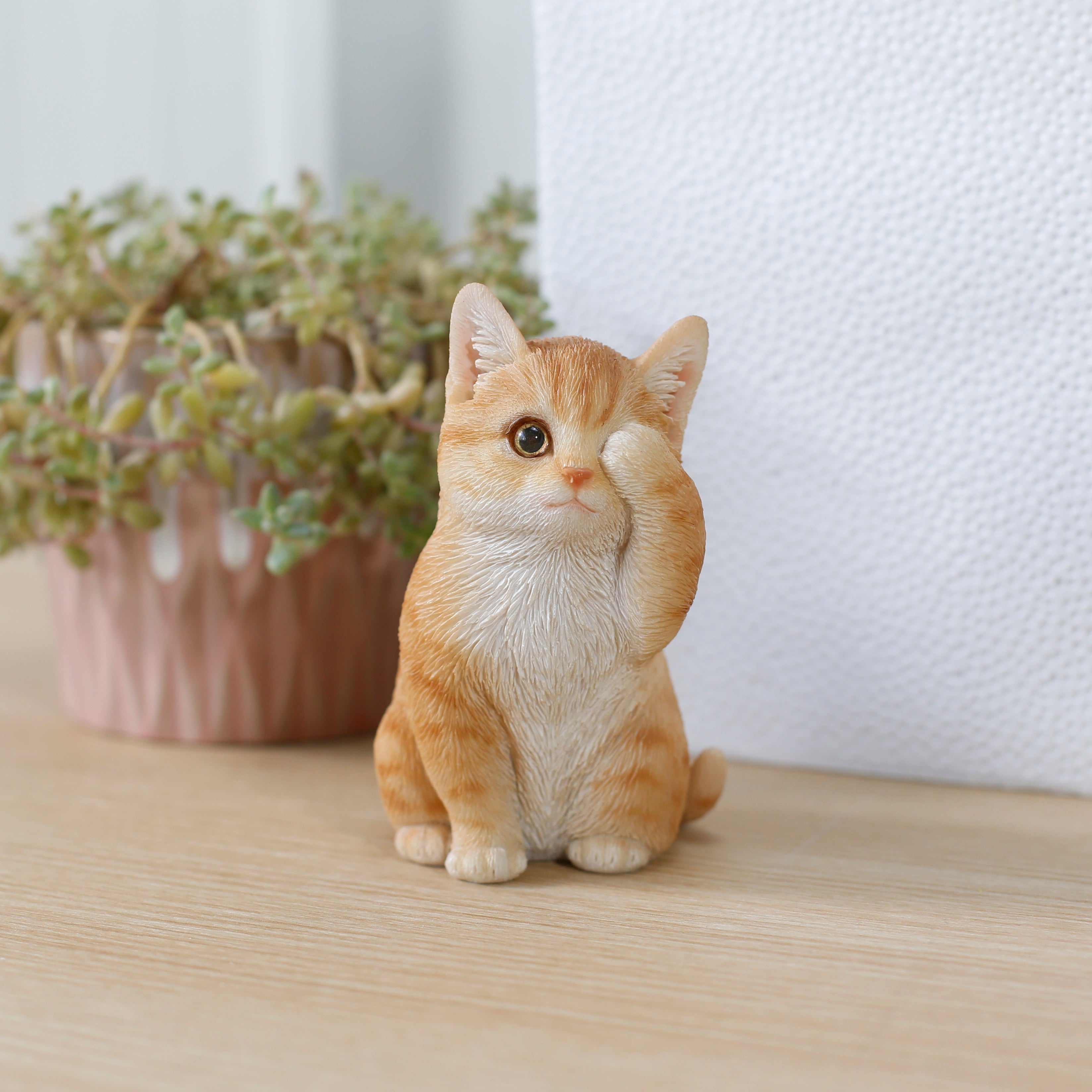 とらねこ a610be59b1bfecbd19f567a1acdbfb