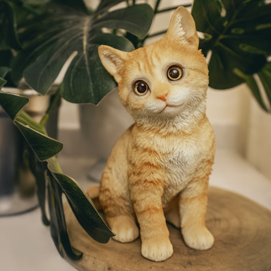 首をかしげる茶トラ猫