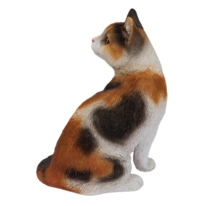 振り返る三毛猫