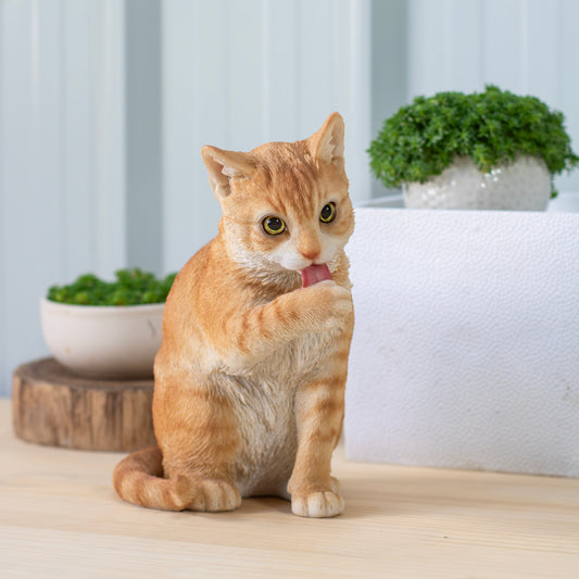 前足をなめる茶トラ猫