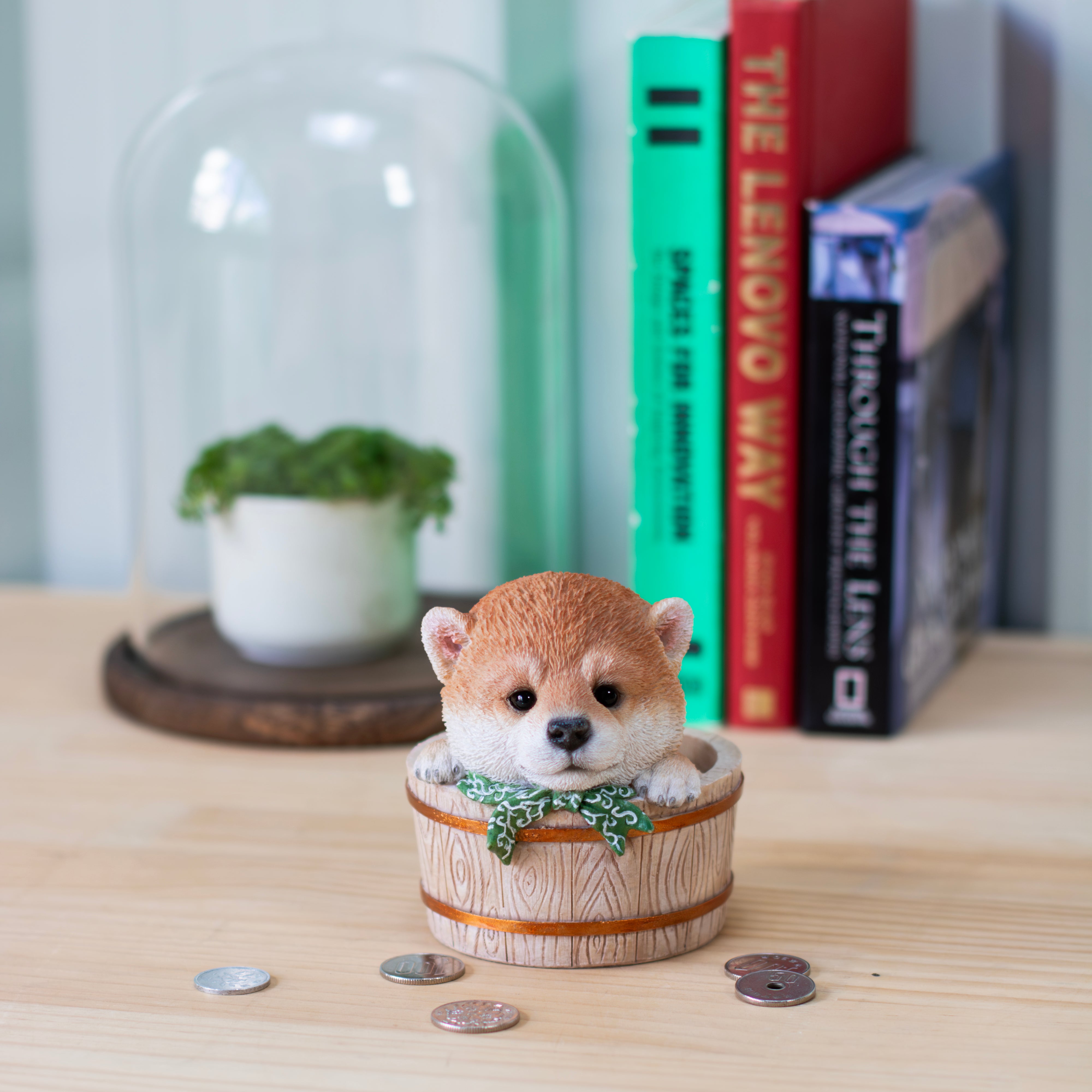 豆しばの桶貯金箱｜WooBia公式オンラインショップ – WooBia（ウービア