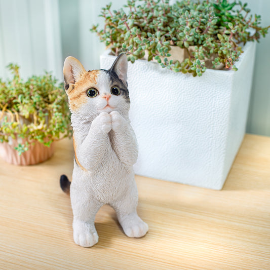 おねだり三毛猫