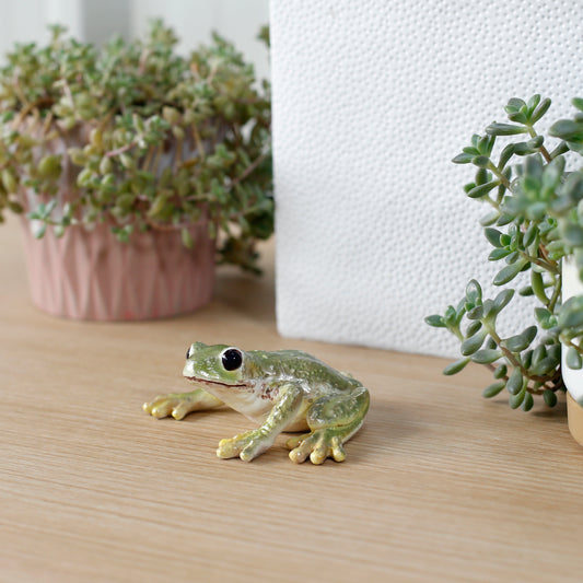 カエル マグネット