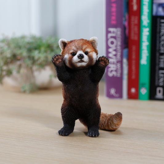 レッサーパンダ手をあげる