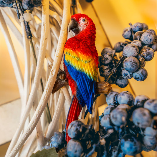 赤コンゴウインコ マグネット
