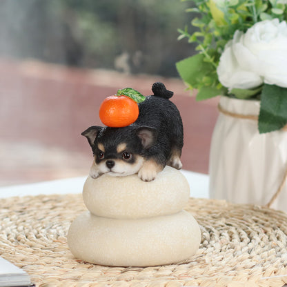 鏡餅飾り チワワ ブラック