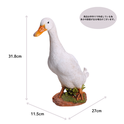 アヒル