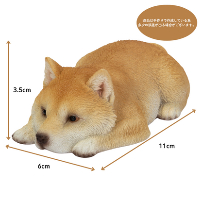 柴犬カップ麵フタ押さえ