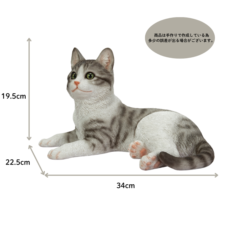 五十嵐健太@飛び猫®︎ | モデル シエル #白猫 #猫 | Instagram