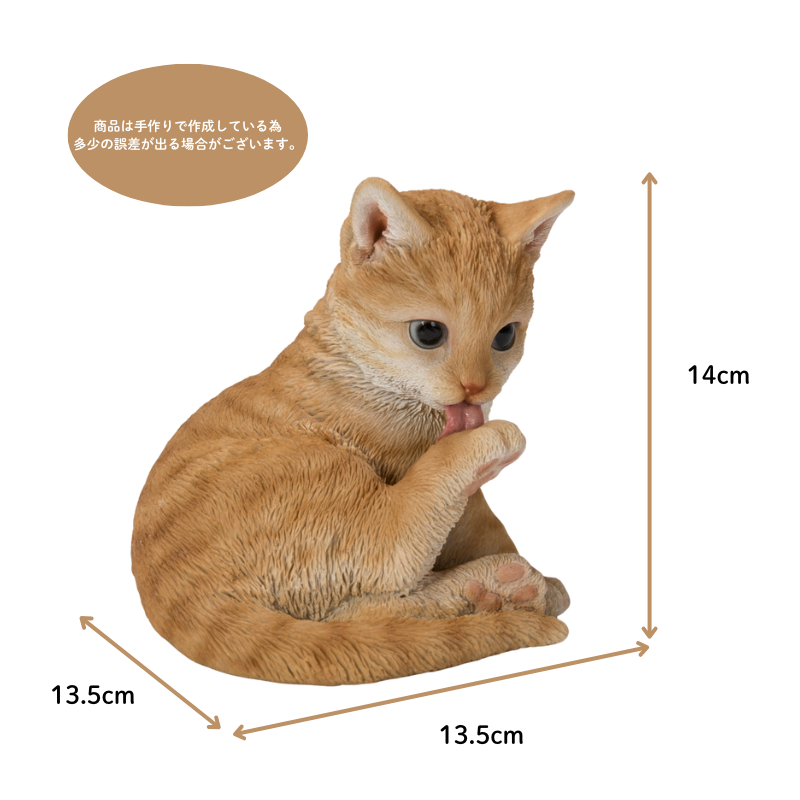 後ろ足をなめる茶トラ猫