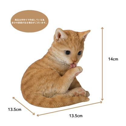 後ろ足をなめる茶トラ猫