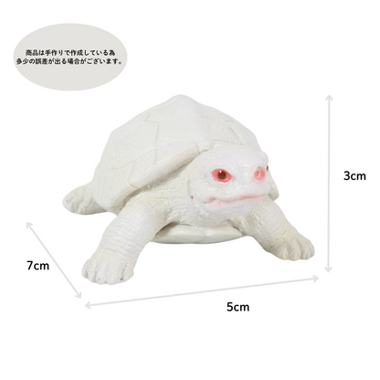 カメの文鎮マグネット 白