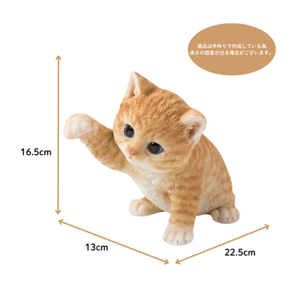 猫パンチ茶トラ猫