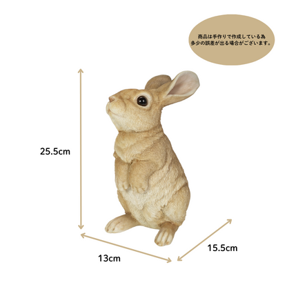 見上げて立つベージュ白ウサギ