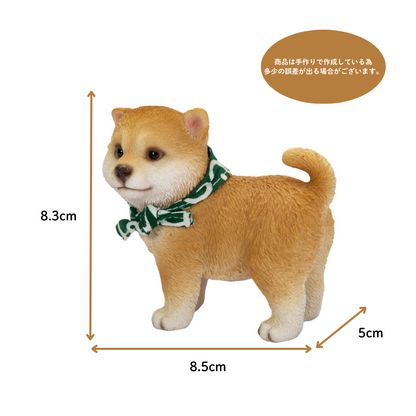 豆柴にこちゃん & たまちゃん | 🐶 今日の吉祥寺散歩。 1枚目は