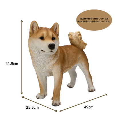 左向きに立つ柴犬（大）