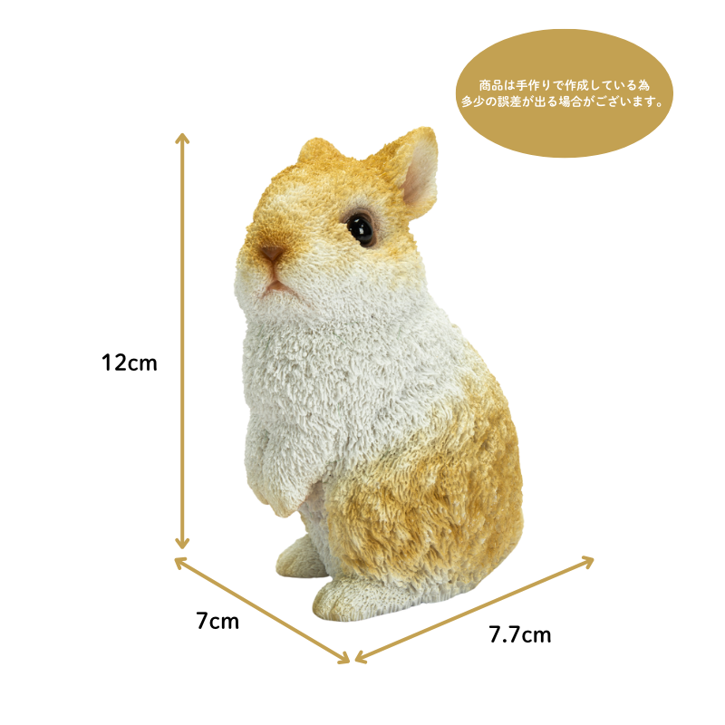 うさぎ 61vkvdaAksL._UF350,350_QL80_.jpg うさぎ 61vkvdaAksL._UF350,350_QL80_.jpg