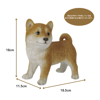 横向き柴犬