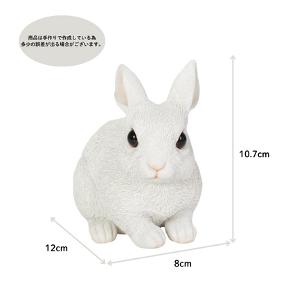 しゃがむ白ウサギ