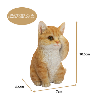 見ざる茶トラ猫