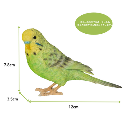 緑セキセイインコ｜WooBia公式オンラインショップ – WooBia