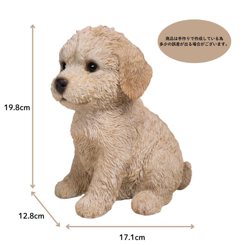 お座りプードル子犬|WooBia公式オンラインショップ – WooBia お座りプードル子犬|WooBia公式オンラインショップ – WooBia